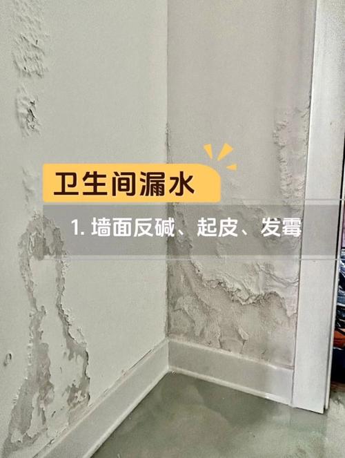 家里滴水现象是否会影响家居风水布局？