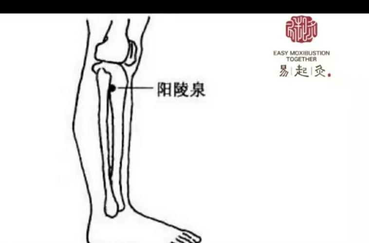 风水对膝盖健康有怎样的影响呢？