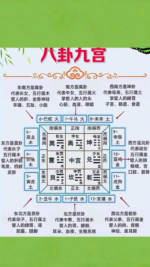 1967年易经九宫命格9命的人是什么命？