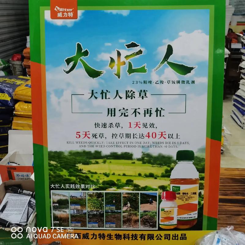 果园杂草丛生是否会对风水产生不良影响？