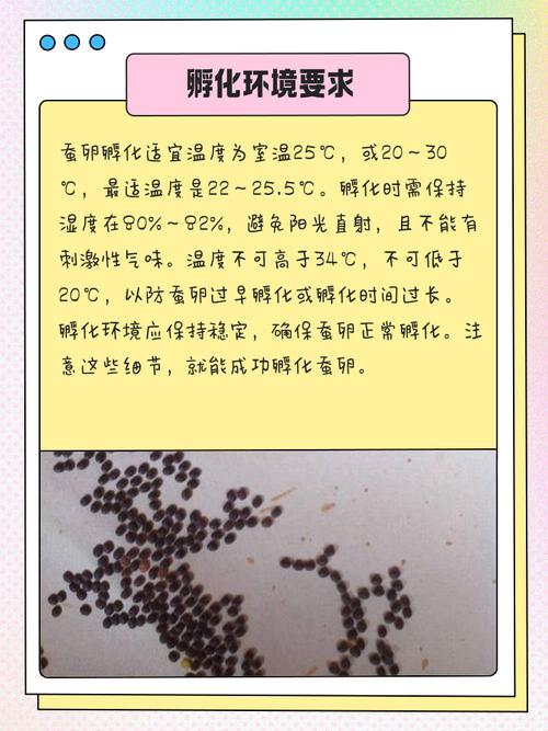 家里养蚕会对风水产生怎样的影响或作用呢？