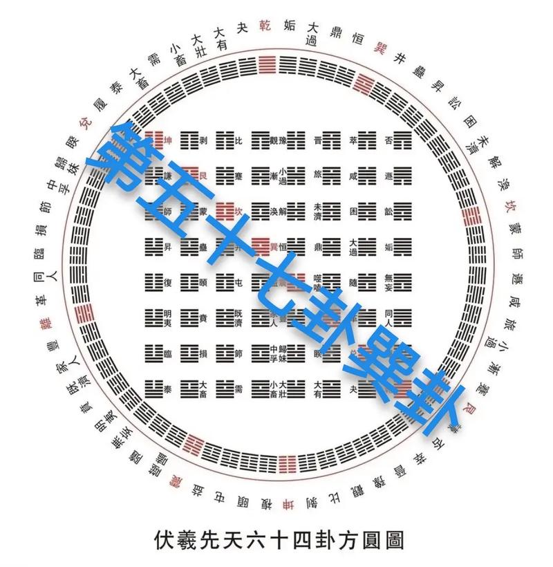 命卦巽命和东四命分别指什么？