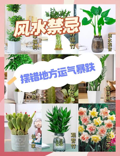 家里摆放花卉会影响风水布局吗？