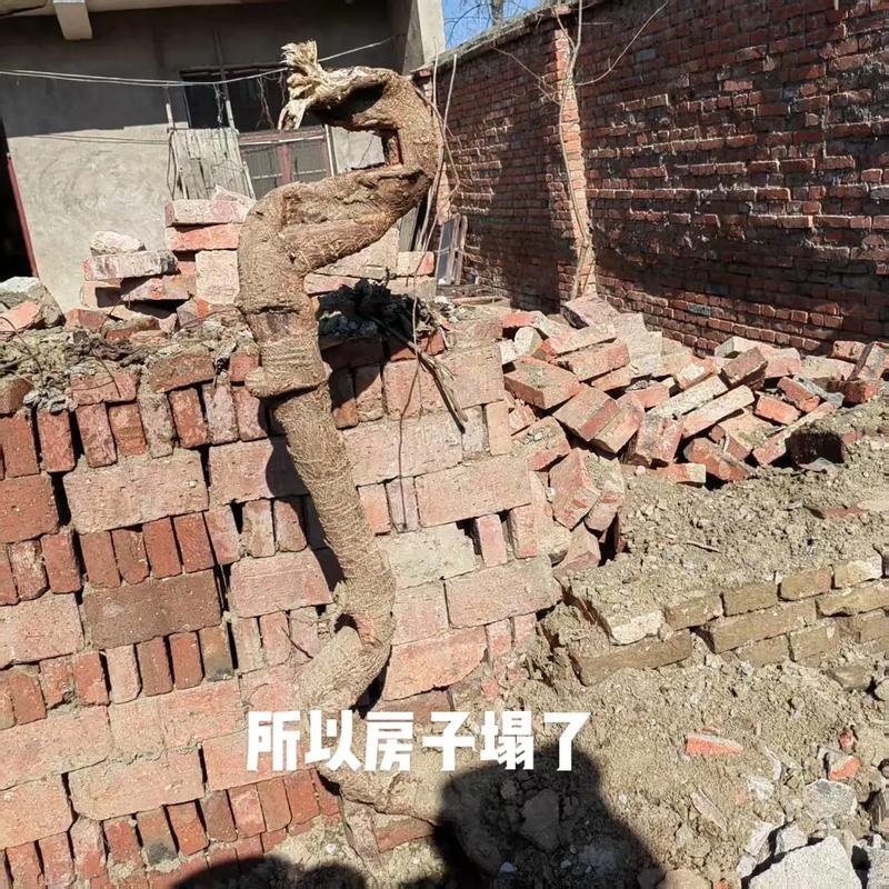 院墙塌了会对家宅风水产生怎样的影响呢？