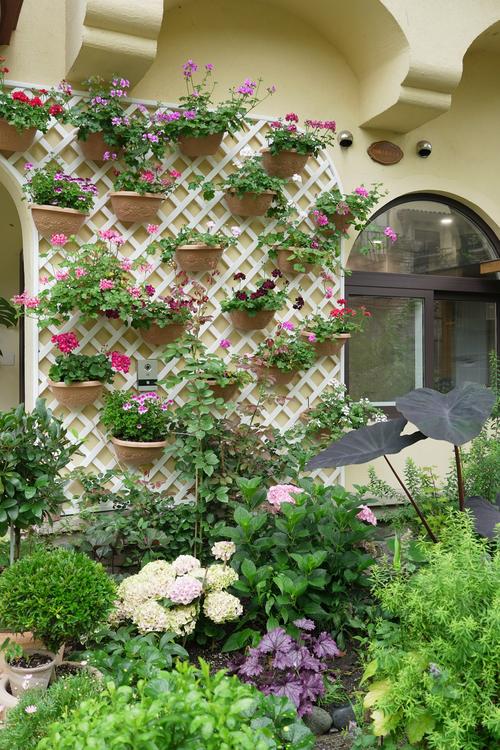 墙角种花对风水有影响吗？