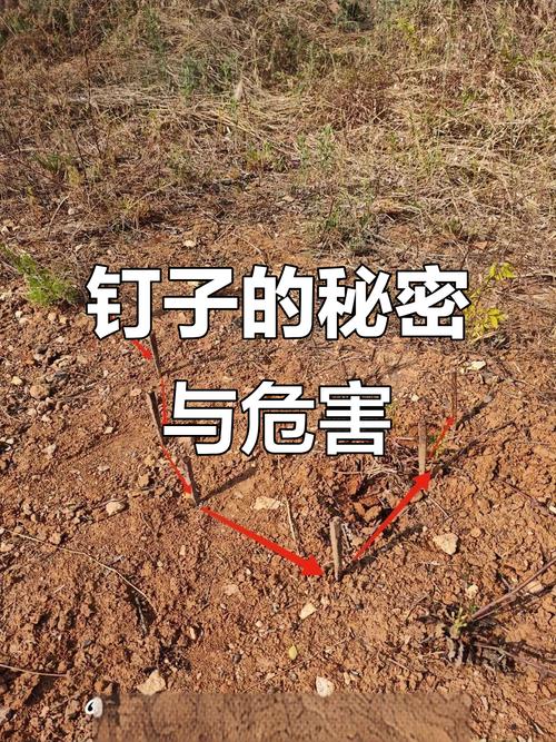 家里钉子孔对风水有影响吗？有没有什么讲究？