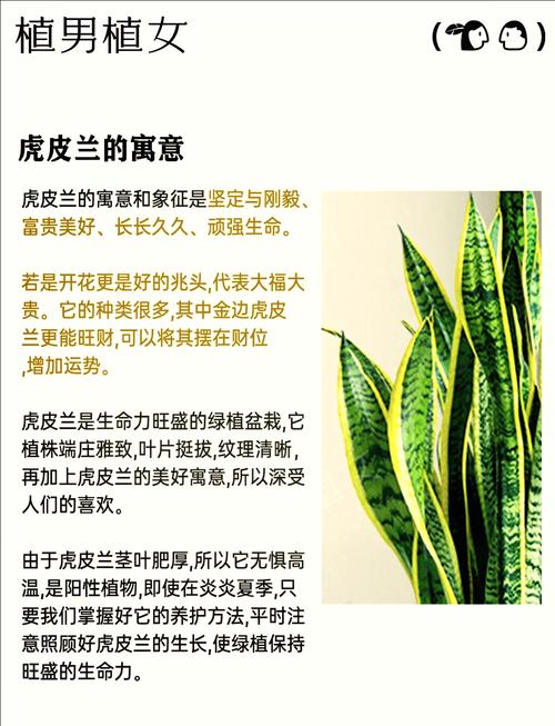 这辆车子的风水适合种植植物吗？