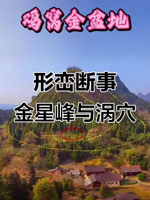 金星峰的风水是阴阳风水吗？这其中的原理和特点是什么呢？