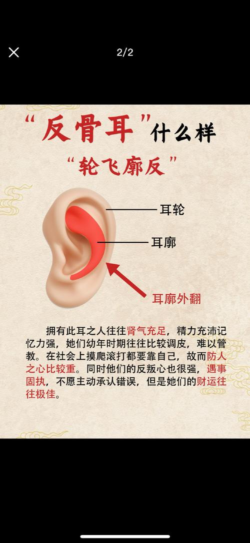 耳朵轮廓厚和两个耳朵不一样，是何命运之谜？