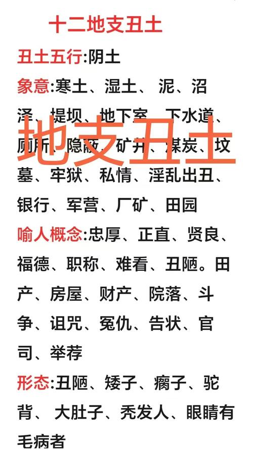 丑土男命地支代表什么丑土男人究竟长成什么模样？