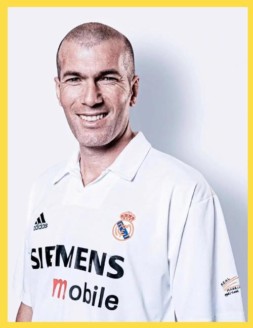 齐达内为何在足球领域成就非凡，命运如此多舛？