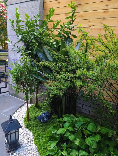 后院种花是否会影响风水布局？