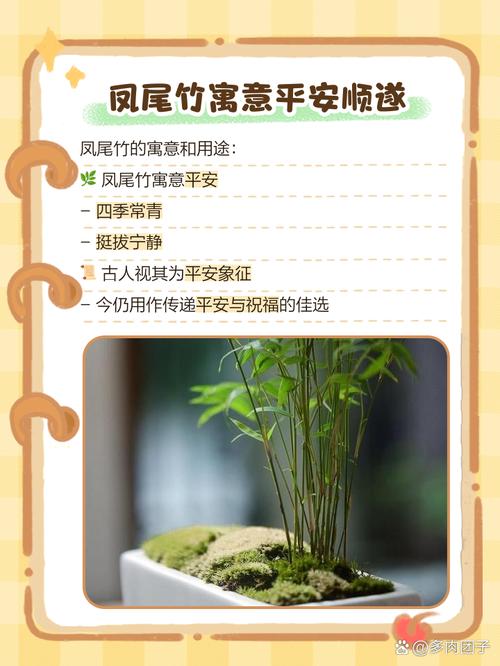 种竹子真的嫩起到挡风水的作用吗？