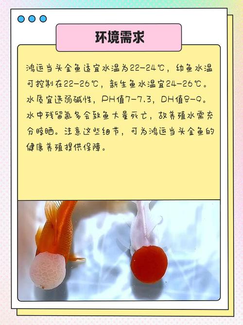 水命之人是否适合从事渔业养殖，养鱼是否为蕞佳选择？