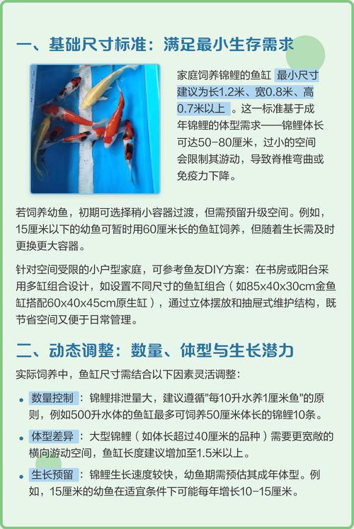 养锦鲤时究竟有哪些风水讲究是必须注意的呢？