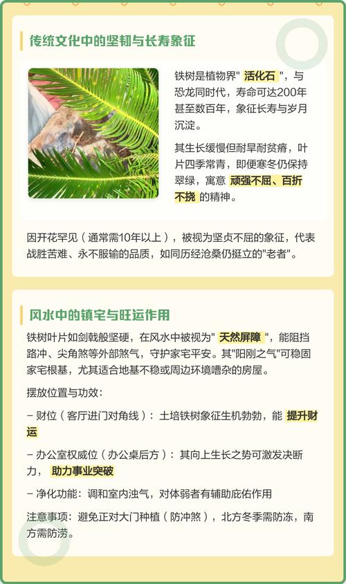 铁树对风水有怎样的影响或作用？