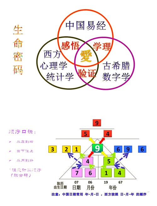 ‘将十三条命’这个表述指的是什么其中‘十三’这个数字有什么特殊含义？