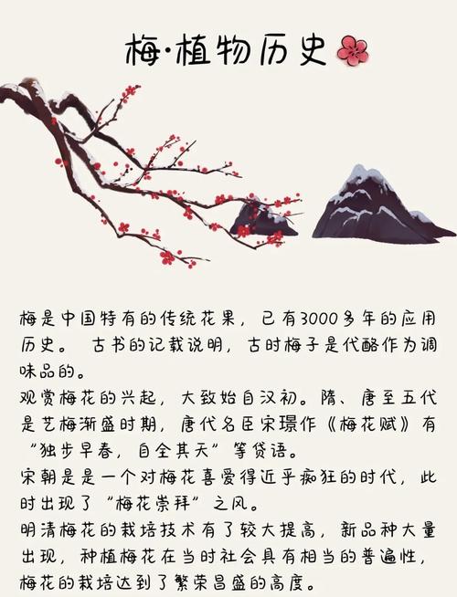 梅花命在易学中是什么命理？女性梅花命具体含义是什么？