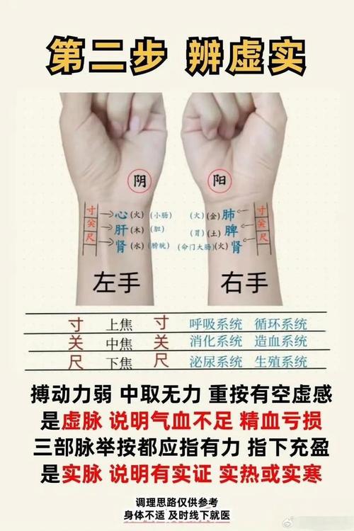 把脉左手心肝肾右手肺脾命中的肺脾命指的是什么？