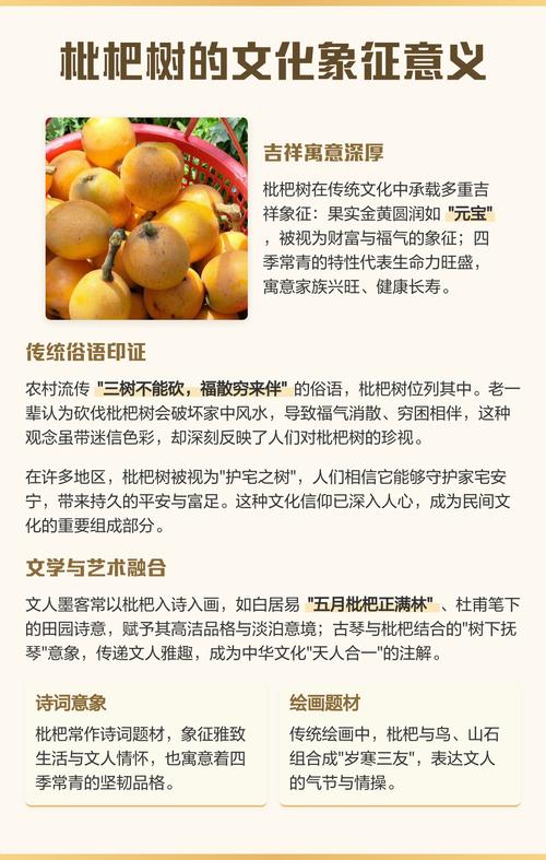 砍掉枇杷树会对风水产生怎样的影响？