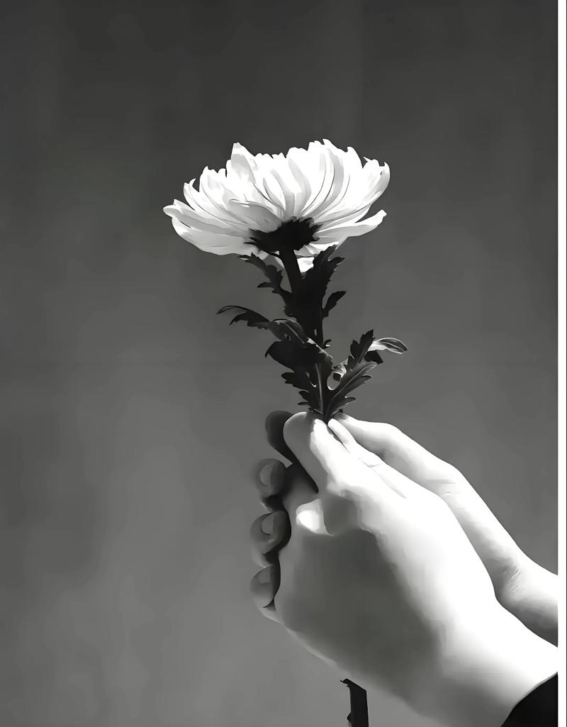 人在半路突然离世算什么命运？老人在途中断气是否吉利？