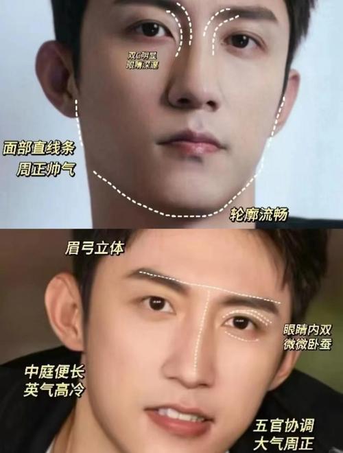 男人眉毛高和眉毛短分别预示着怎样的命运？