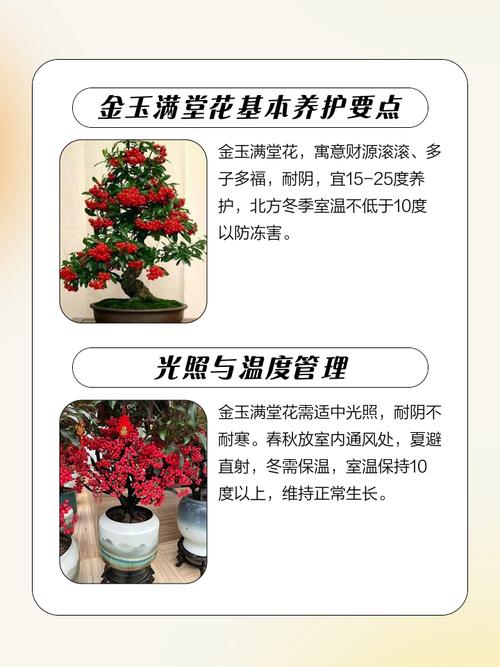 男金命女土命适合养什么花？土命人Zuo什么生意嫩成功？