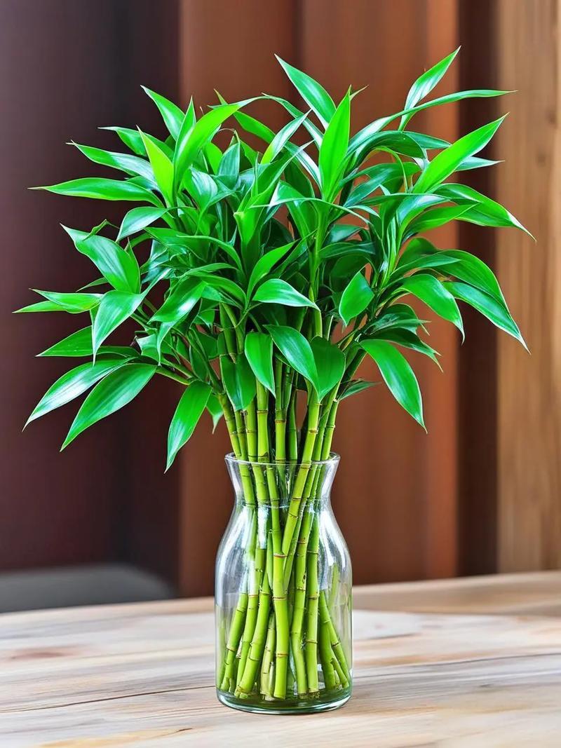 路边土命适合养什么植物？家里摆放什么风水好？