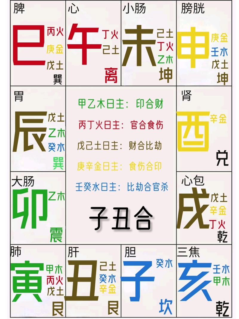 己巳丙子壬子辛丑命，丙寅辛丑己巳丙寅，这是什么命理组合？