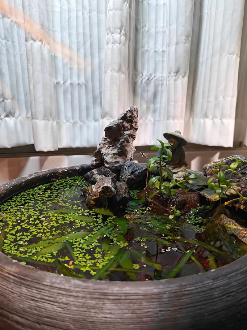 没水的造景缸对风水有影响吗？