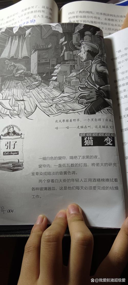 九命灵猫拥有哪些枪支，九节灵猫为长尾？