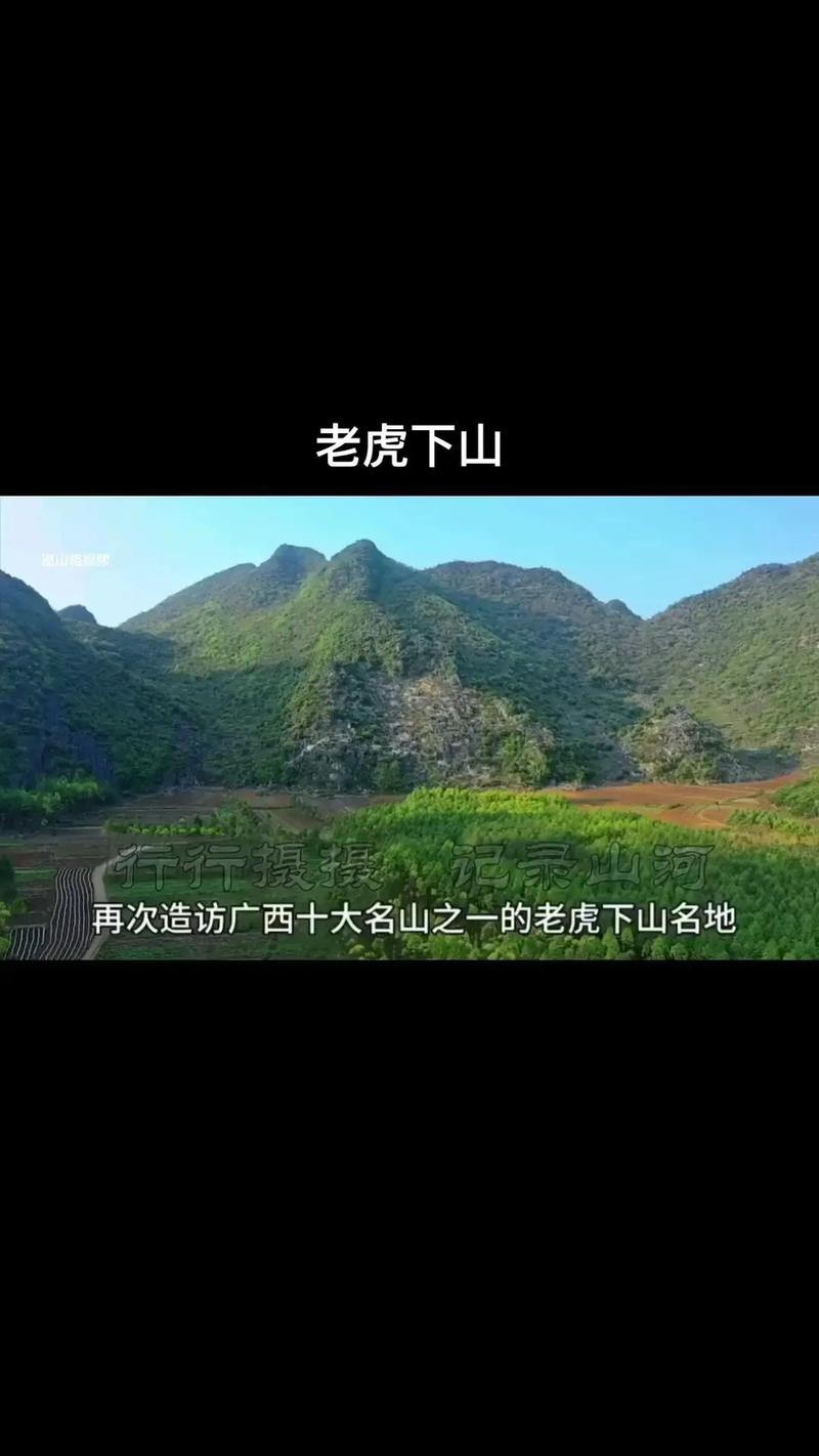 风水老虎地形是否适合在此地立碑纪念？