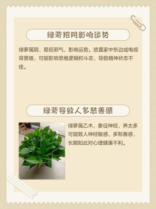 种植蔬菜在房屋后方是否会对家宅风水产生不良影响？