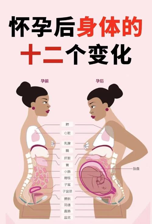 不怀孕与风水之间是否存在某种关联？