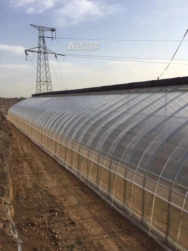 温室大棚建设对当地风水环境有影响吗？