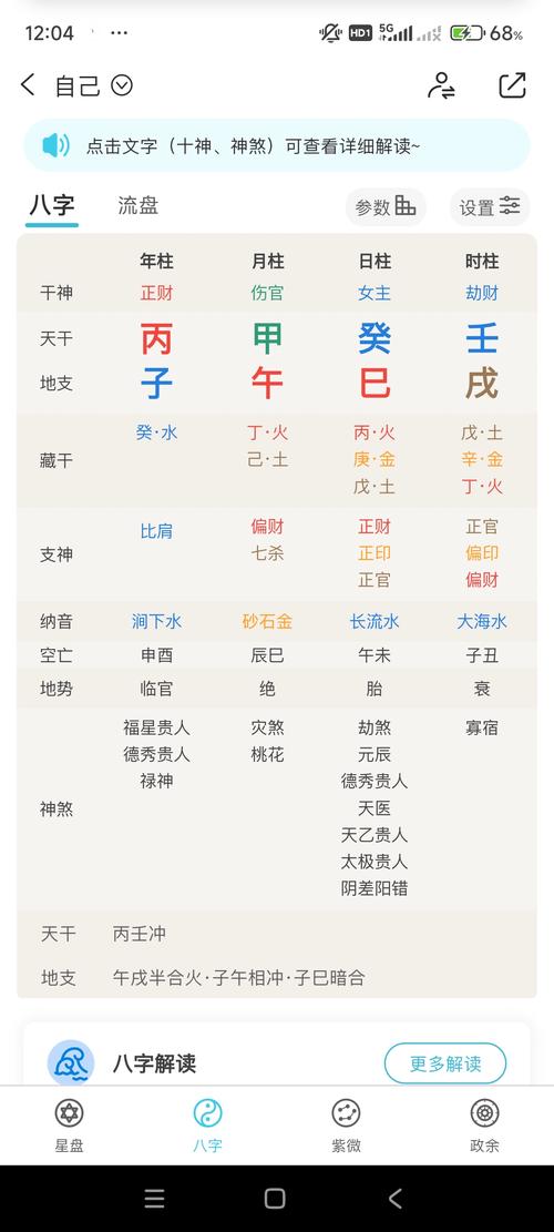 丙子甲午庚子什么命格，丙子命格究竟有何特点？