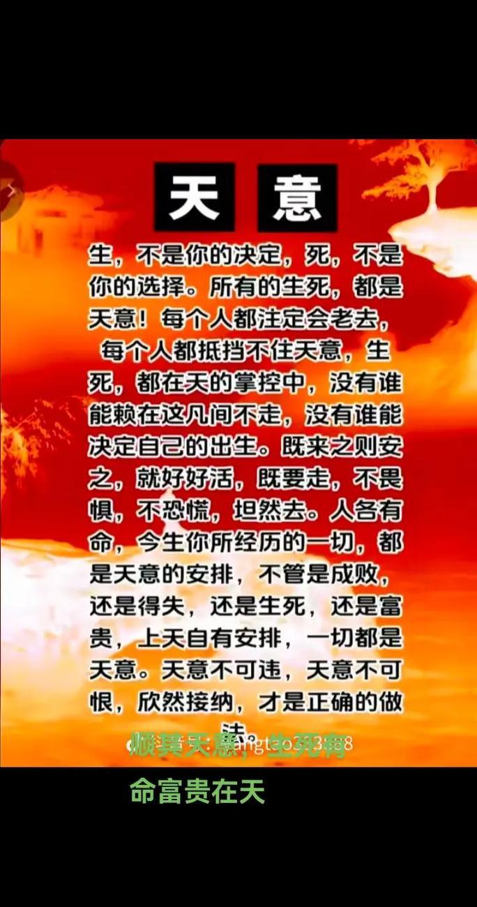 将因以命之命是什么意思？