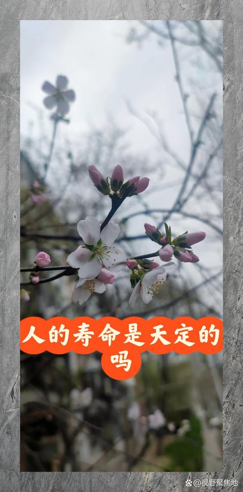 寿命短暂是命中注定吗？
