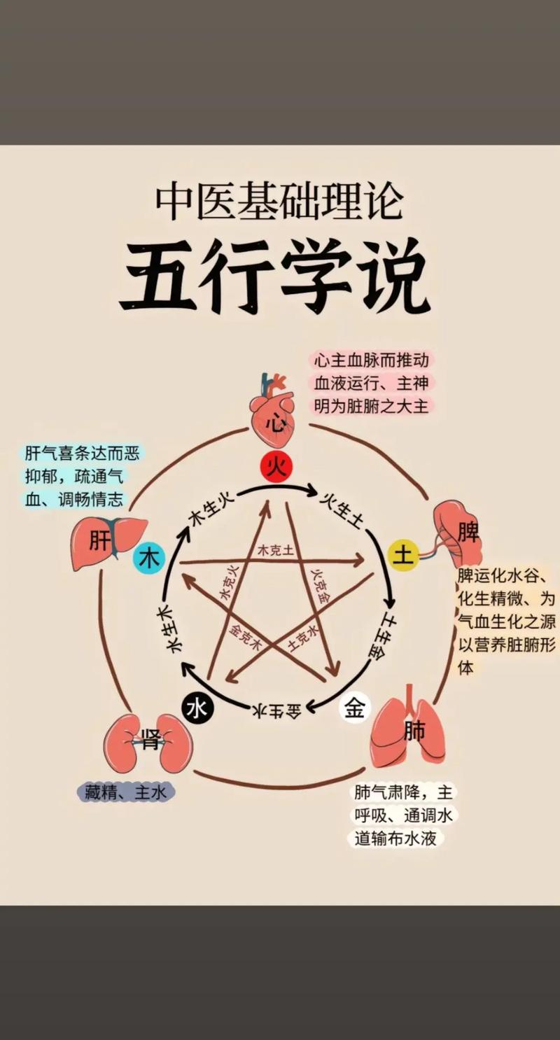 中医与命理学之间究竟有何紧密联系？