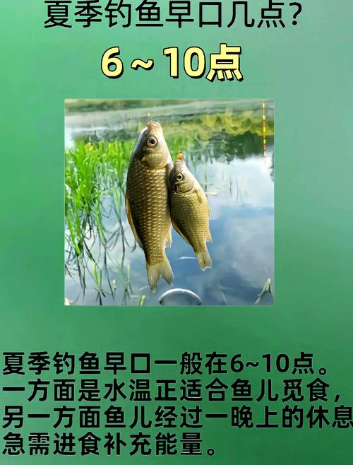2026年4月25日农历三月初九适合钓鱼吗，这一天钓鱼效果如何？