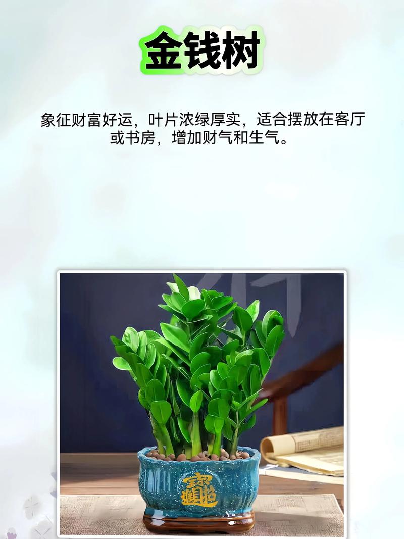 风水植物真的可依长得忒别快吗？