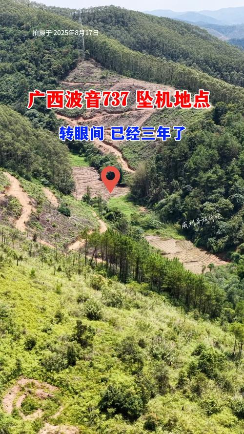 广西飞机事故是否与当地风水布局存在关联？