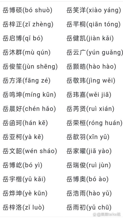 有没有什么诗意的岳姓男孩名字，能体现中华文化的韵味？