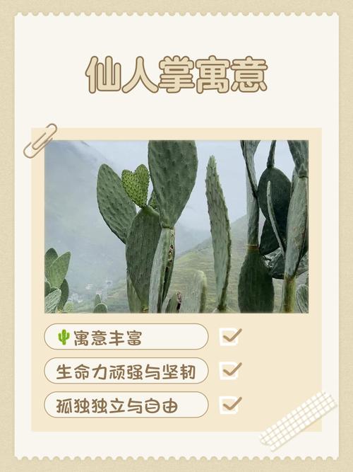 仙人掌对风水有怎样的影响或作用？