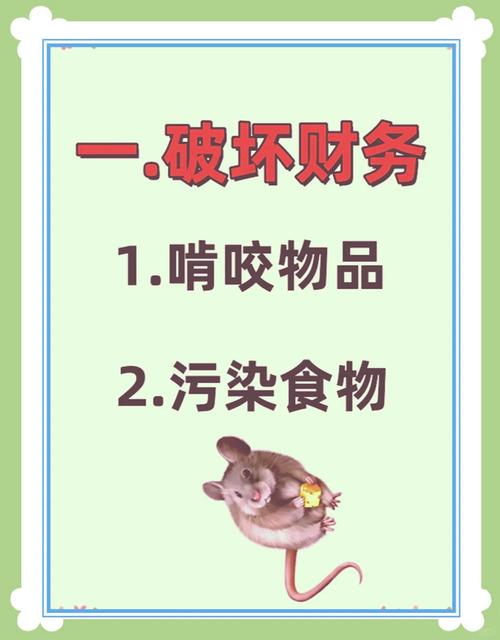 毒死老鼠会对家中的风水产生怎样的负面影响呢？