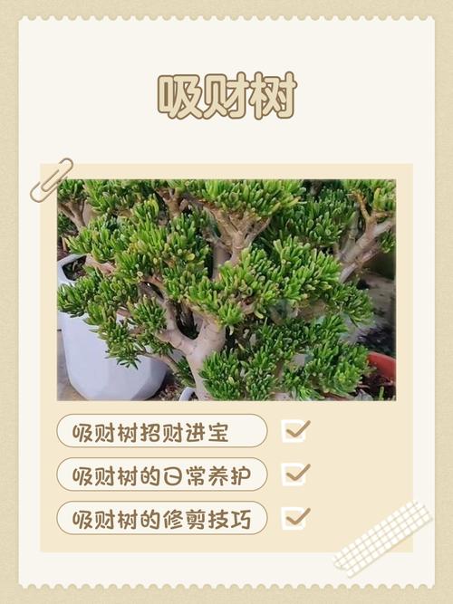 大林木命与哪种命合财？适合Zuo什么生意来改命？