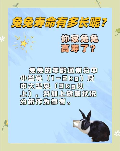 哪种品种的兔子拥有最长的寿命，堪称长寿兔王？