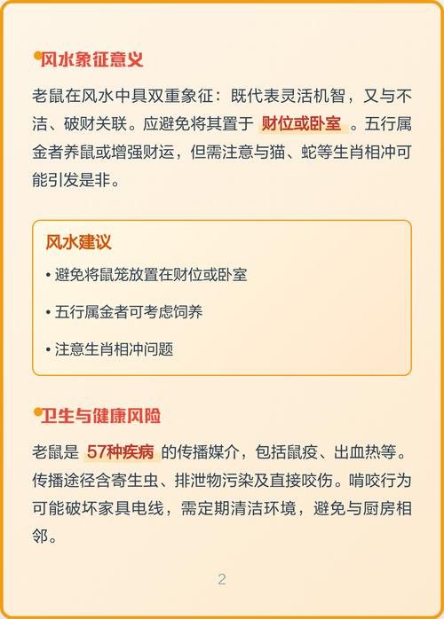 家里进耗子会影响风水吗？