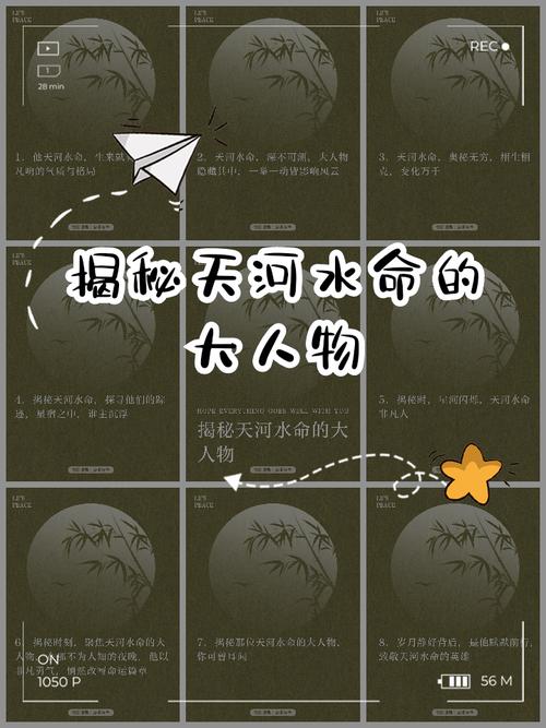 天河水命1967年适合投资什么项目？