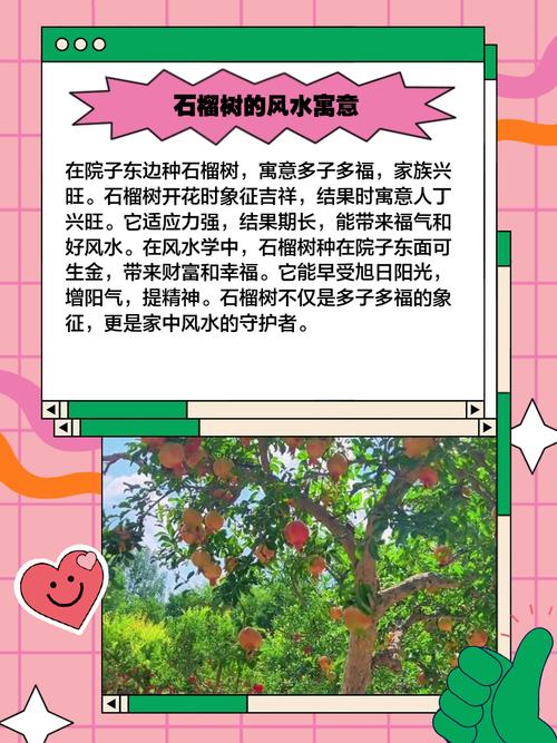 石榴木命与哪种命相配最吉祥？哪种命能旺石榴木？